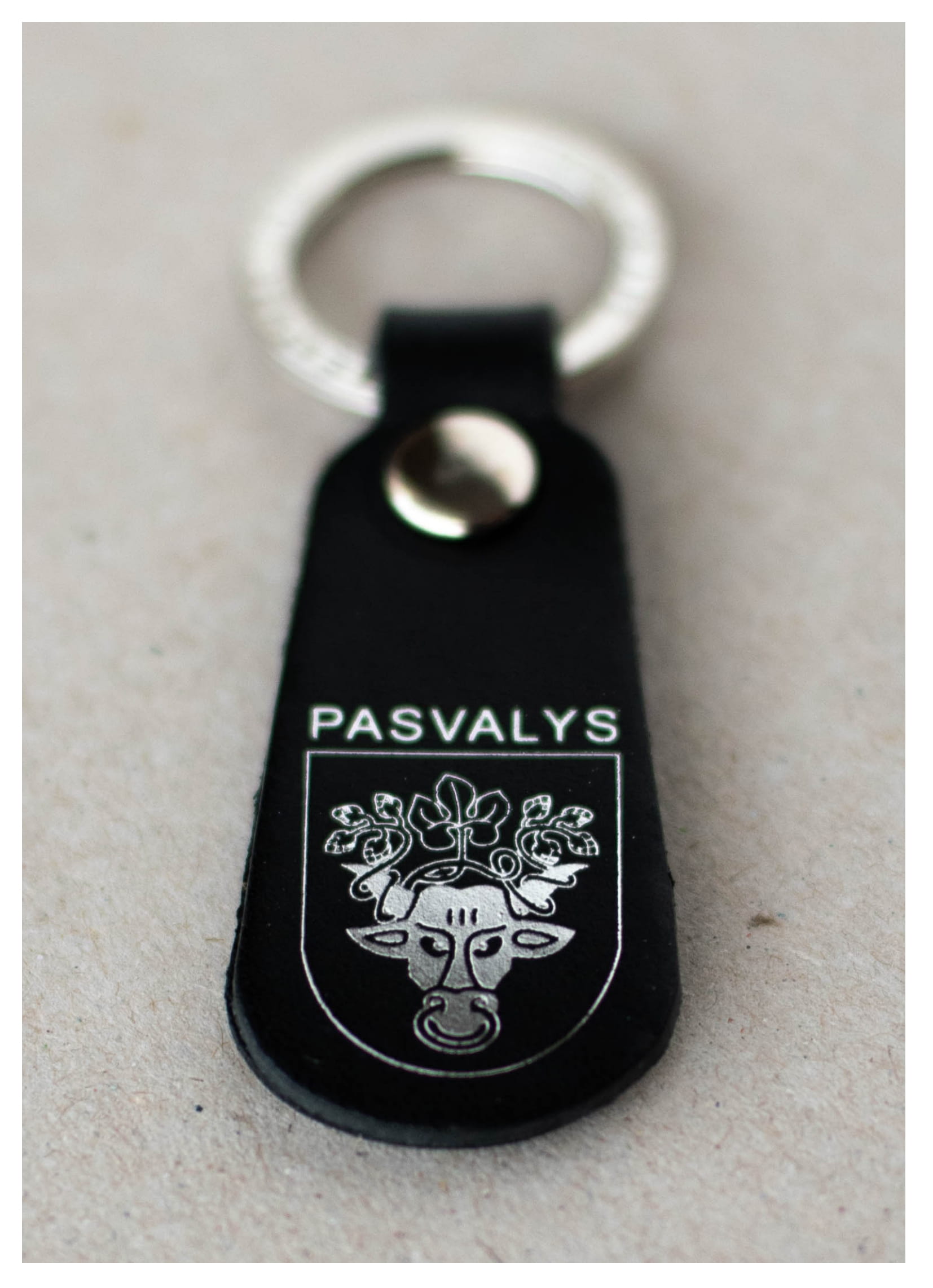 RP_Pasvalys